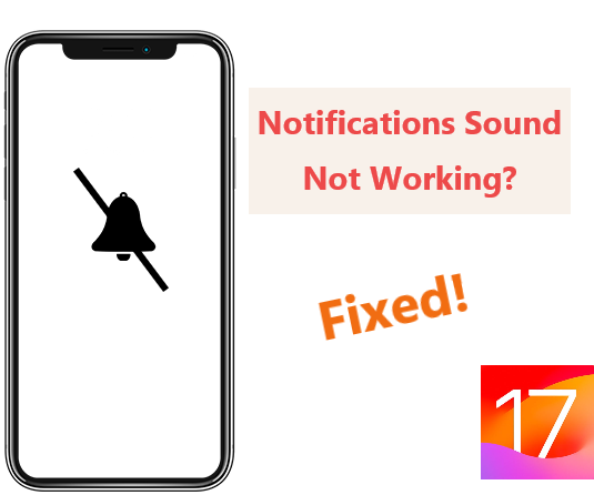 notification sound not working