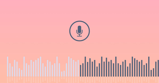 amazon music recorder online