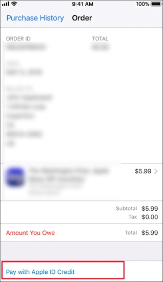 pay with apple id credit on iphone