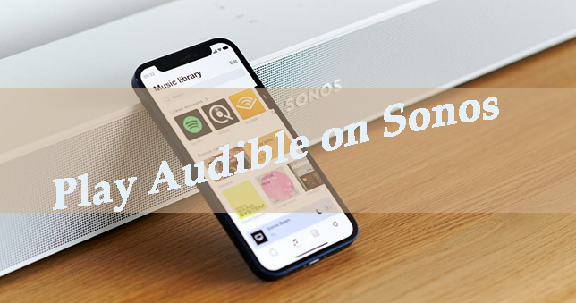 play audible on sonos