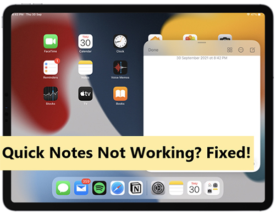 quick notes not working on ipad or iphone