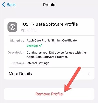 remove ios 17 beta profile