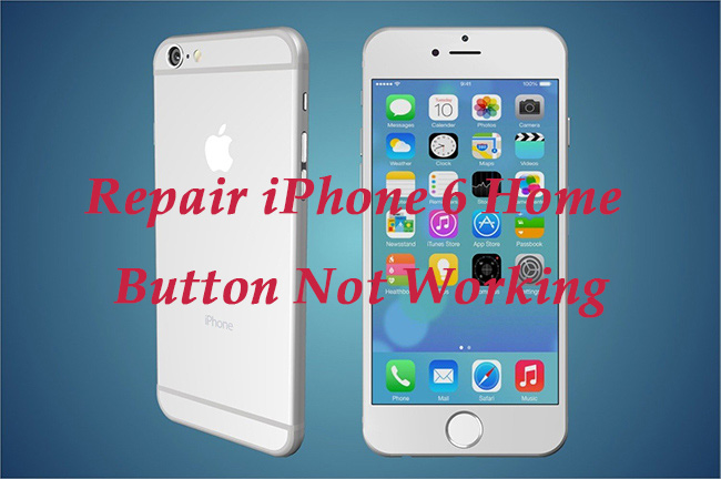 how to repair iphone 6 home button not working