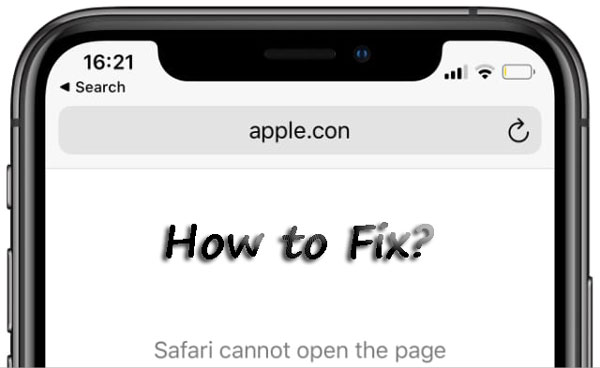 safari cant connect server on iphone