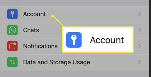 select whatsapp settings