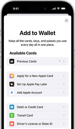 set apple pay