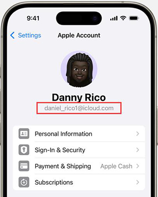 settings check icloud email