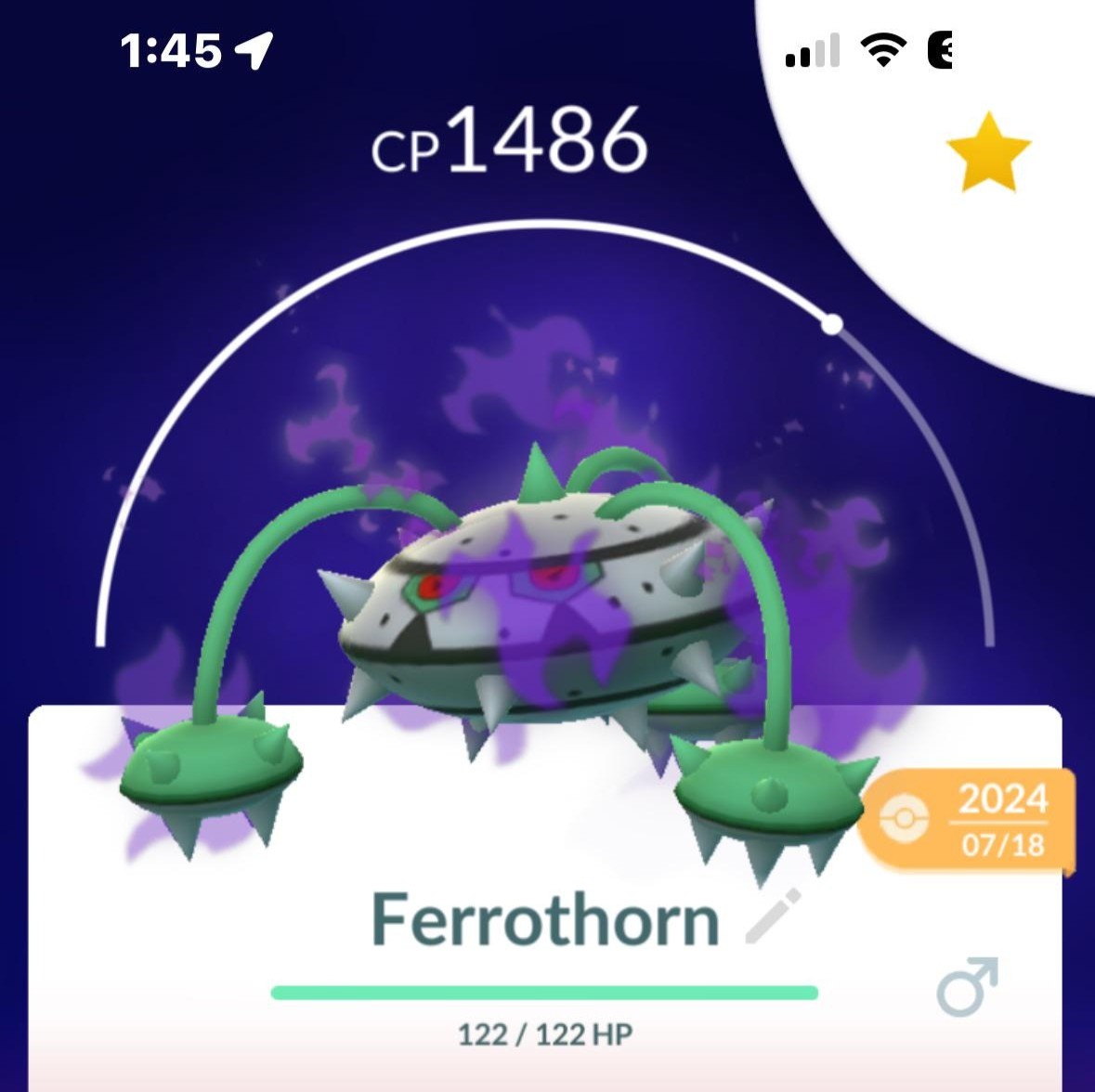 shadow ferrothorn