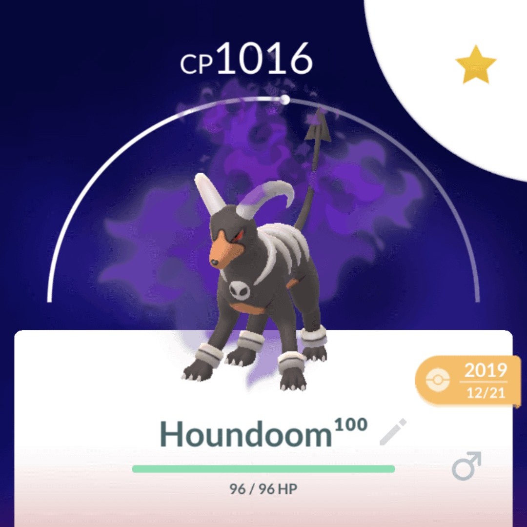 shadow houndoom