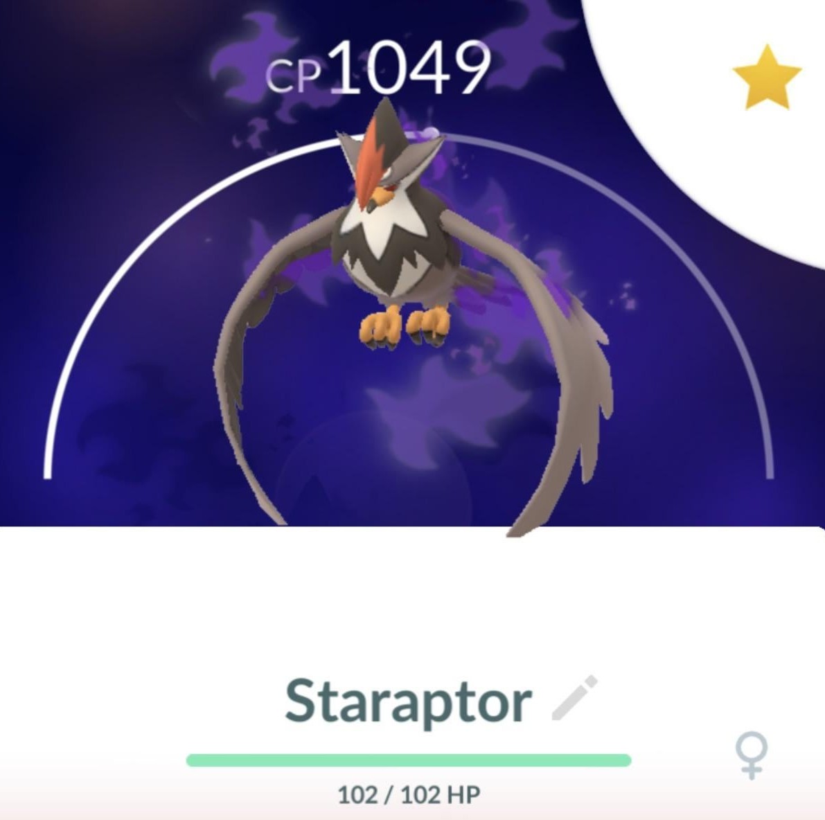 shadow staraptor