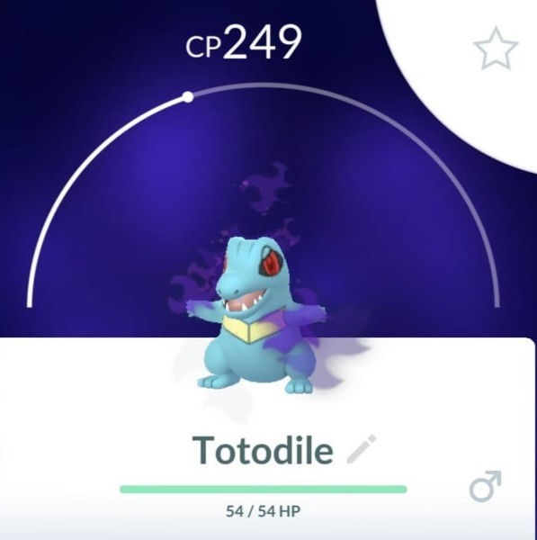 shadow totodile