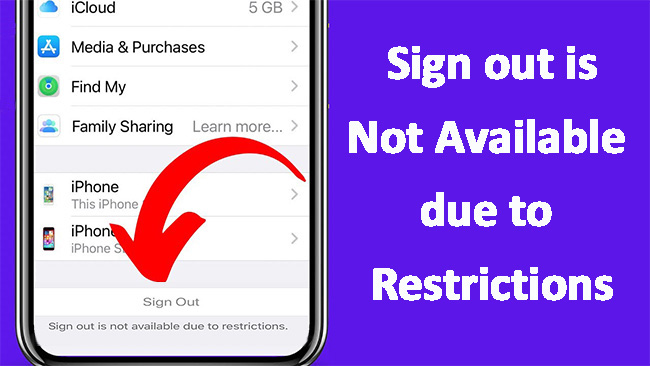 sign out is not available due to restrictions