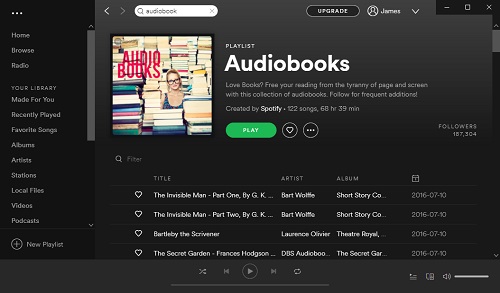 top 10 audiobooks on spotify