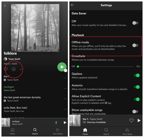 can spotify be played offline