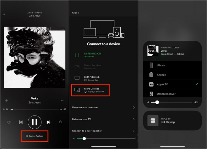 spotify connect