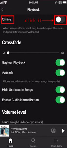 spotify setting offline