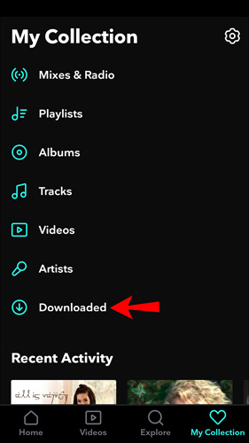 tidal downloaded music