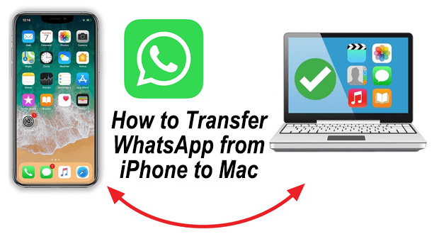 how to transfer whatsapp from iphone to mac
