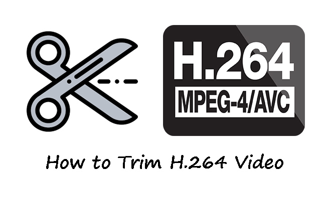 trim h264 video