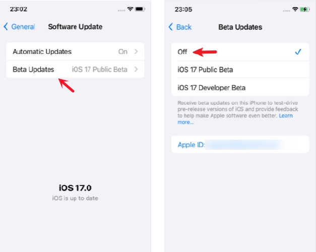 remove ios 18 beta profile