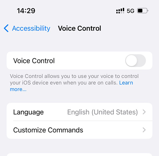 turn off iPhone voice control