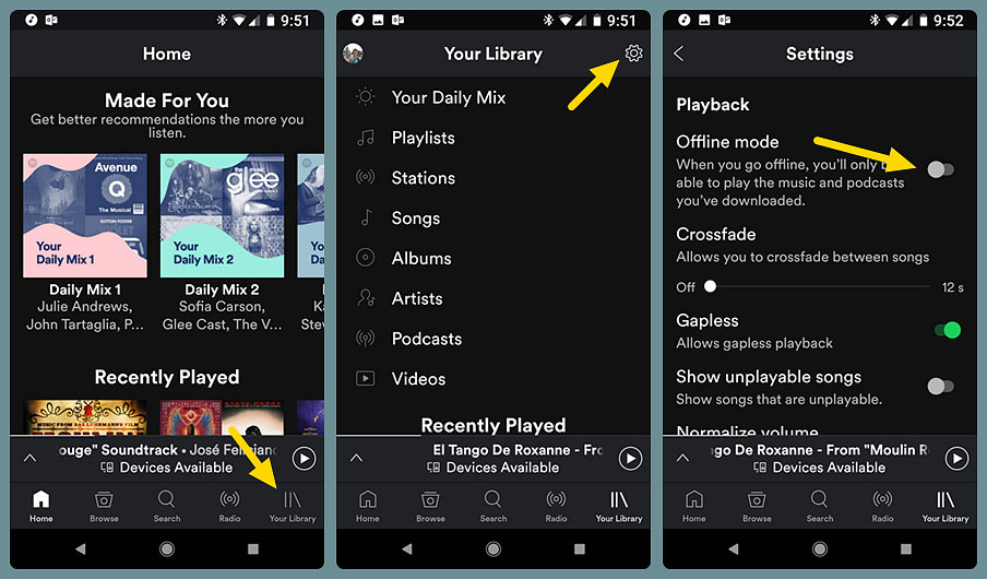 how to download songs on spotify for offline listening
