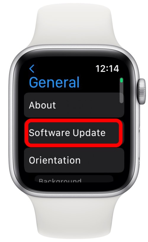 update apple watch via the apple watch