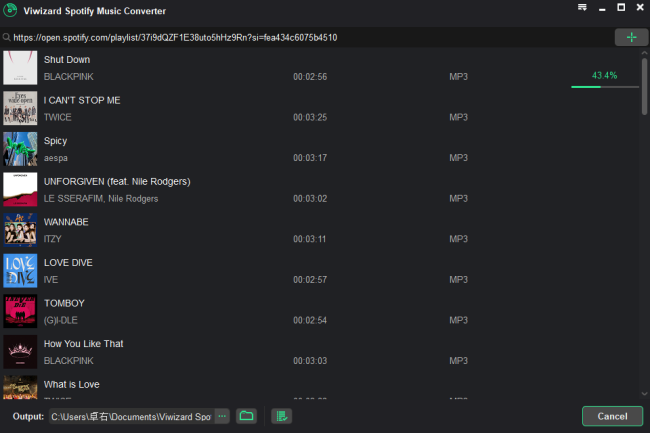 viwizard convert spotify