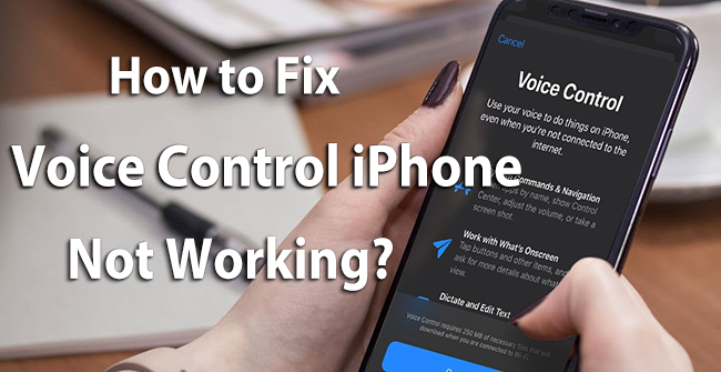 voice control iphone not working