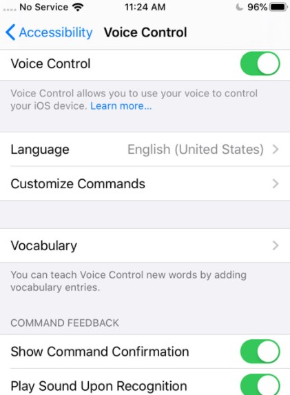turn on voice control
