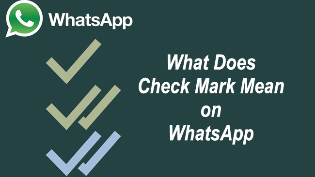 what does check mark on whatsapp