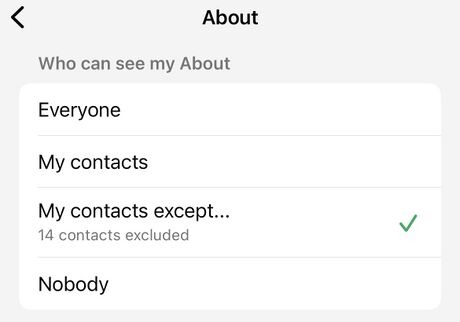 whatsapp about who can see