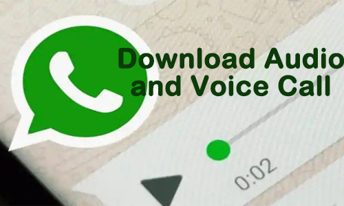 downlaoad audio from whatsapp