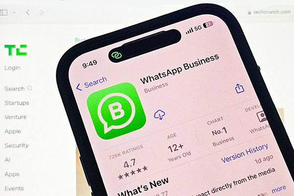 whatsapp business download