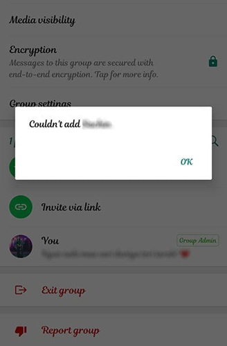 whatsapp cannot add contact to group
