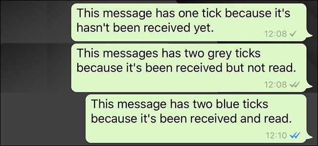 whatsapp check mark