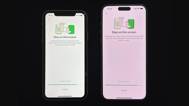 whatsapp messages didn't transfer to new iphone
