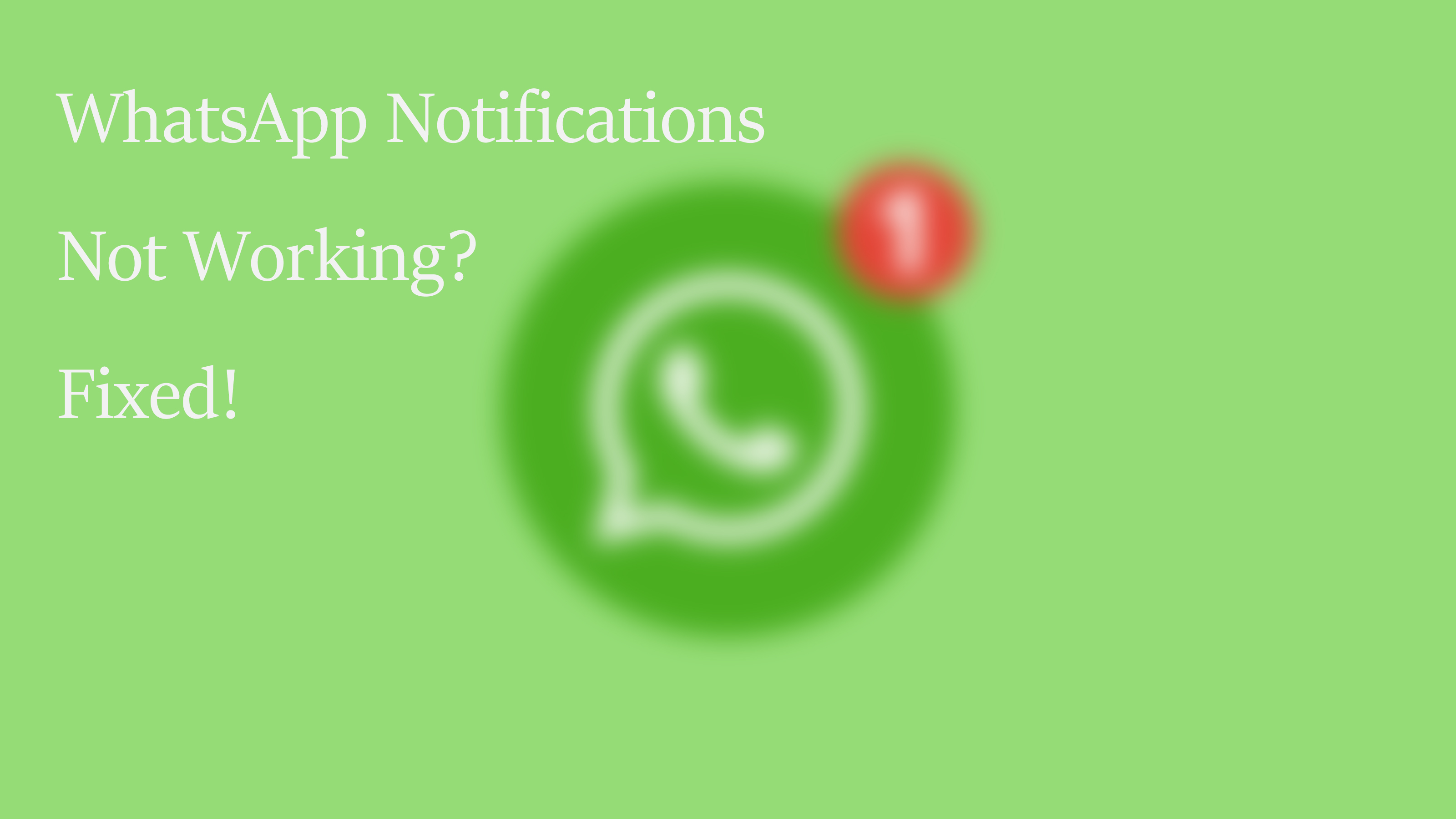 whatsapp notifications not working