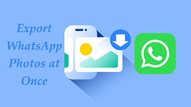 whatsapp photos export at once