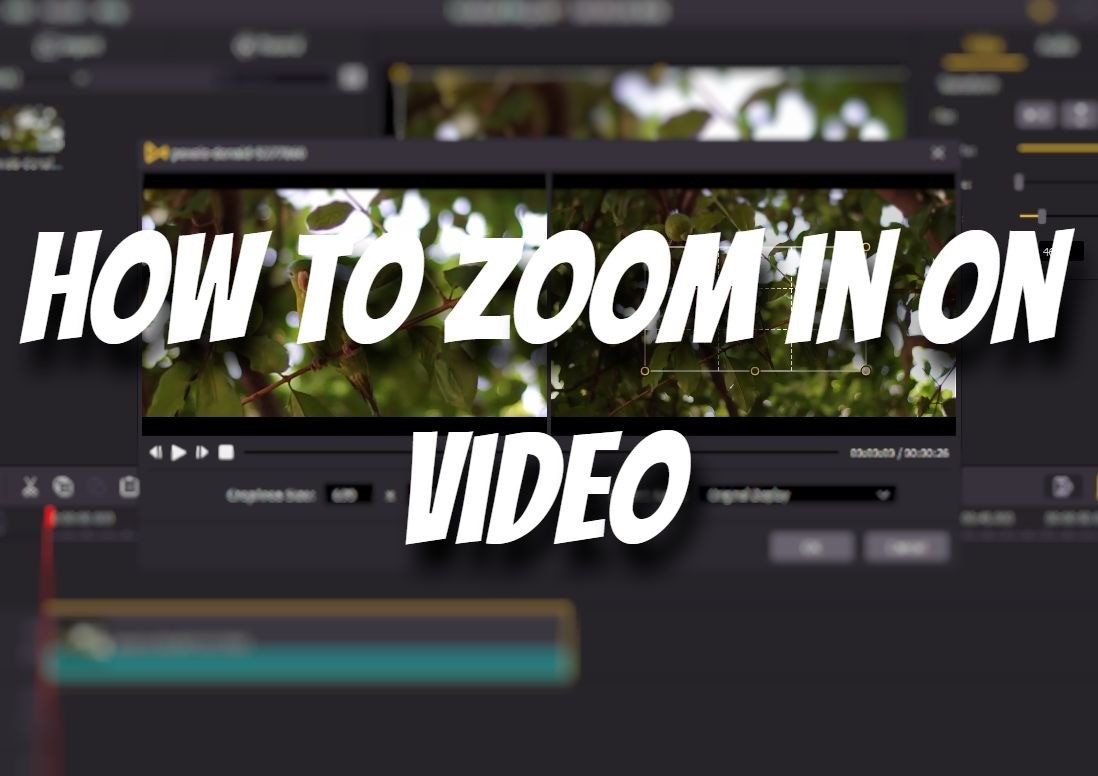 download center for zoom download center for zoom