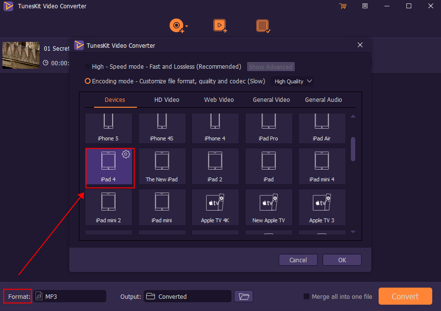 convert dvd to ipad