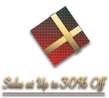 Christmas Specials at 30% off